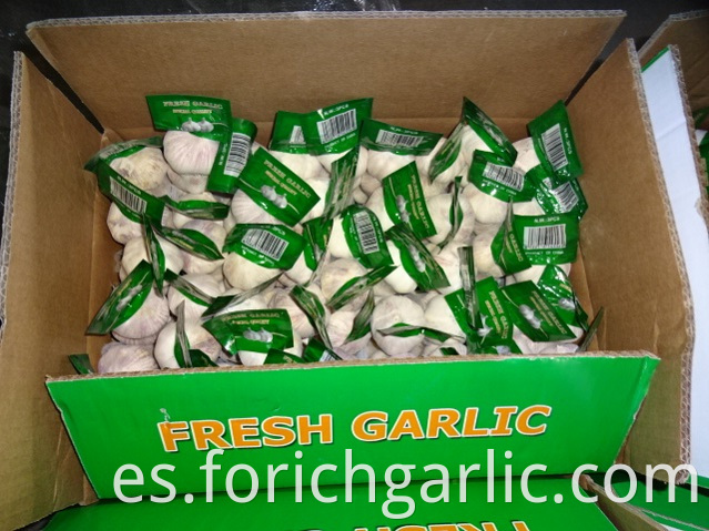 Fresh Garlic Crop 2019